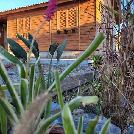 Casa Teka Urubici Villa Bagian luar foto